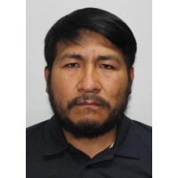 Alan Mendoza Alca
