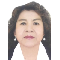 Bertha Choque Acostupa