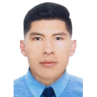 Cristian Romery Mamani Flores
