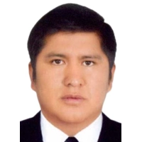 Darwin Charly Mamani Ramos