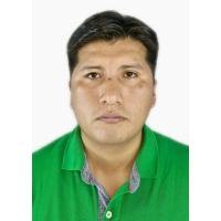 David Edinson Rodrigo Mamani