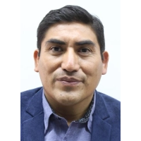 David Enrique Mendoza Berrocal