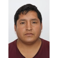 David Mauricio Ramirez Rosales