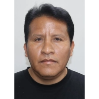 David Wilson Castillon Manrique