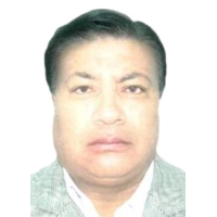 Elmer Alcides Bullon Maldonado
