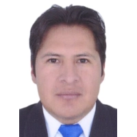 Elvis Fernando Sullca Arana
