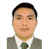 Henry Palomino Flores