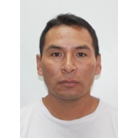 Henry Robert Flores Gallardo