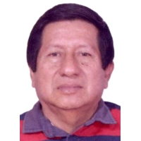 Jose Dario Castillo Lalupu