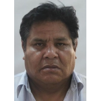Julio Bellido Paredes