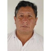 Julio Victor Palomino Alanya