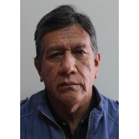 Manuel Helmer Garrido Castro