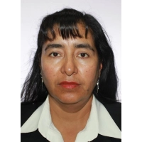 Maribel Efigenia Linares Luque