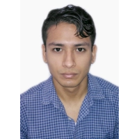 Michael Alonso Tineo Mendoza