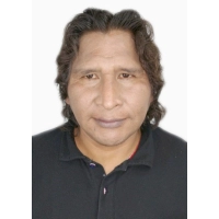 Nelson Estanislao Maque Alfaro