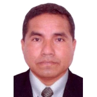 Nestor Javier Pariona Galindo