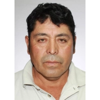 Noe Ronald Pulcha Medina