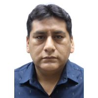 Percy Marcelino Manrique Aburto