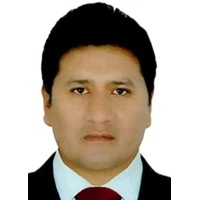 Roy Elias Mamani Barriga