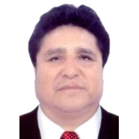Simon Walter Avila Lavado