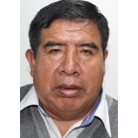 Vicente Salas Pilares