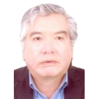Victor Vidal Pino Zambrano