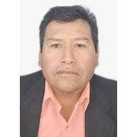 Virgilio David Vilca Teves