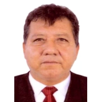 Wagner Gonzales Arevalo
