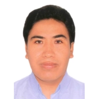 Wilber Carlos Tapia Alave
