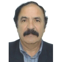 Willy Carlos Cuzmar Del Castillo