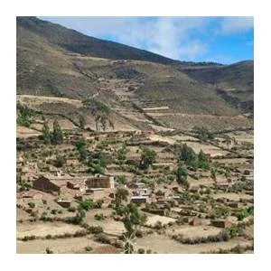 Asquipata
