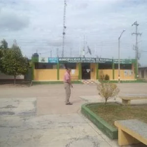 Bajo Biavo