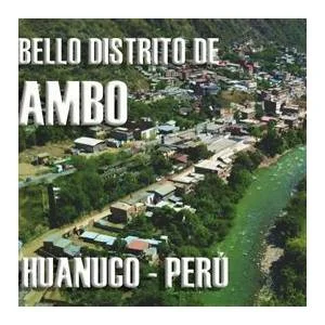 Cayna