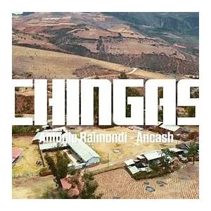 Chingas