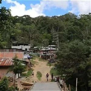 Chirimoto