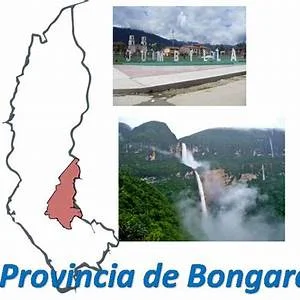 Chisquilla