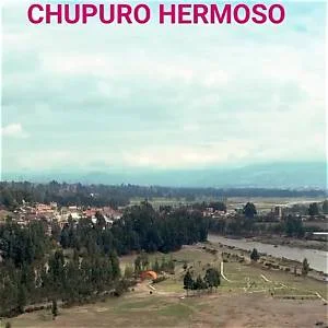 Chupuro