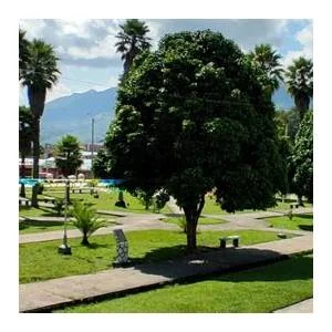 Cochamal