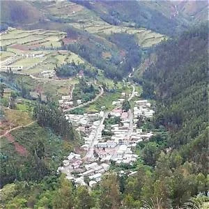 Colpas