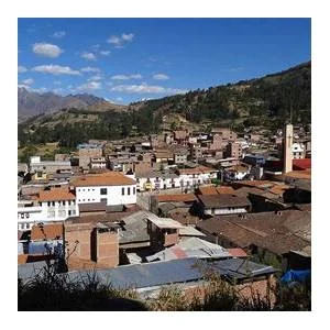 Huachis