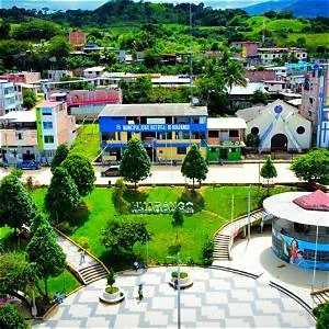 Huarango
