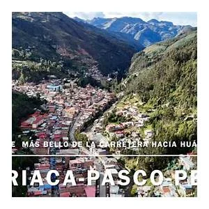 Huariaca