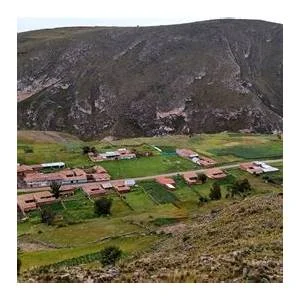 Janjaillo