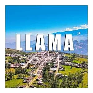 Llama