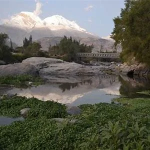 Matacoto