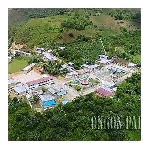 Ongon