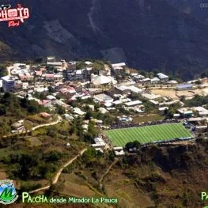 Paccha