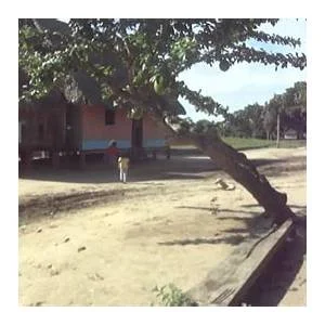 Pampa Hermosa