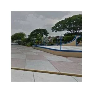 Papayal