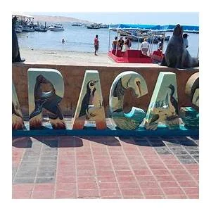 Paracas